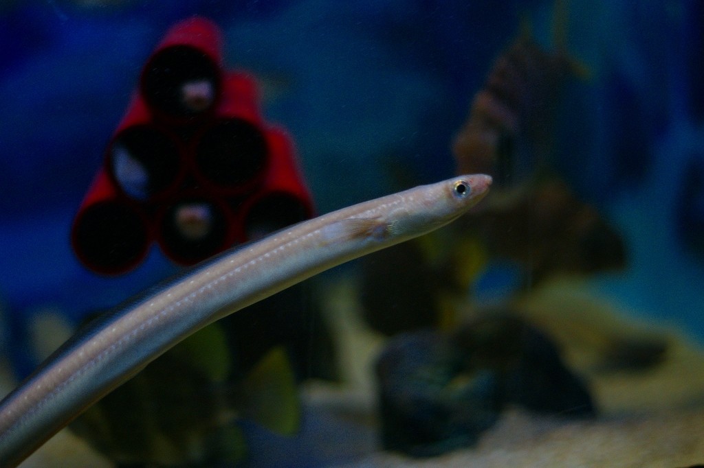 10126201061100042500_1qveikcqla