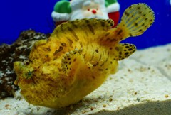 10226175025600042500_19f7udtala