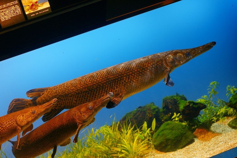 10228737729700042500_fd050yr3la