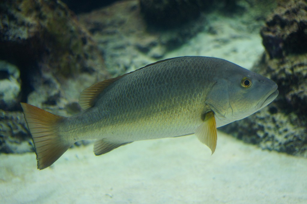 10233139134800042500_c0hdbav4la