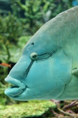 10138258534700042500_2zg48szela