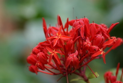 君は燃えているか　その166