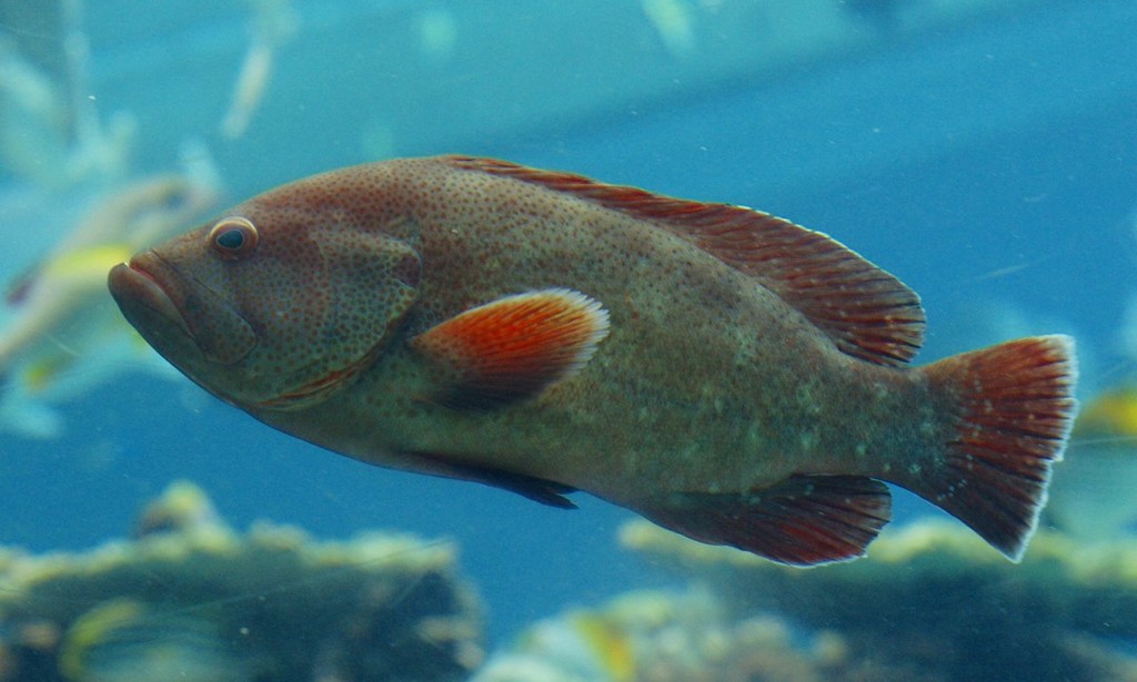 10125761740600042500_2rkgn03ila