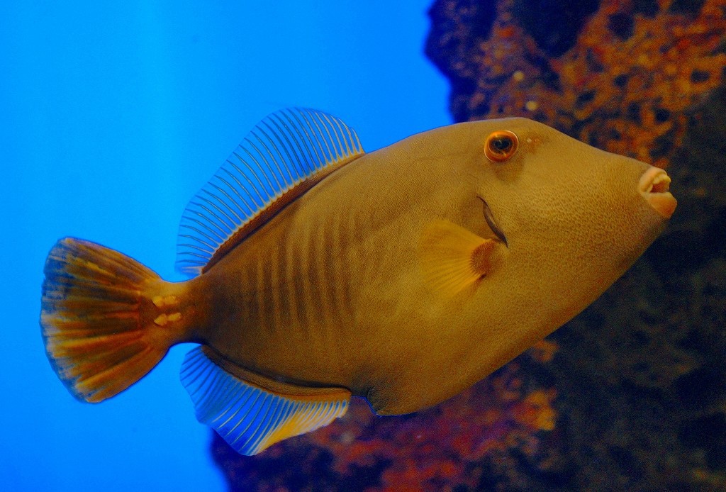 10327056550500042500_kzn5ak24la