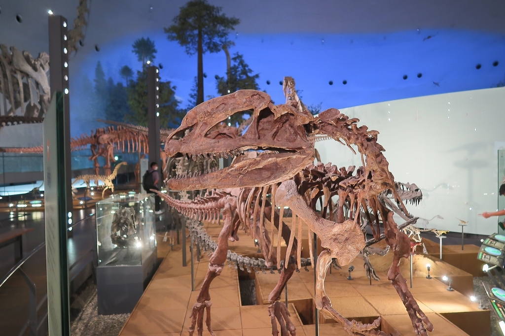 隣が騒がしいようだな　その19