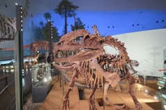 隣が騒がしいようだな　その19