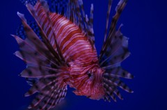 10237386330100042500_ecrnsxwrla