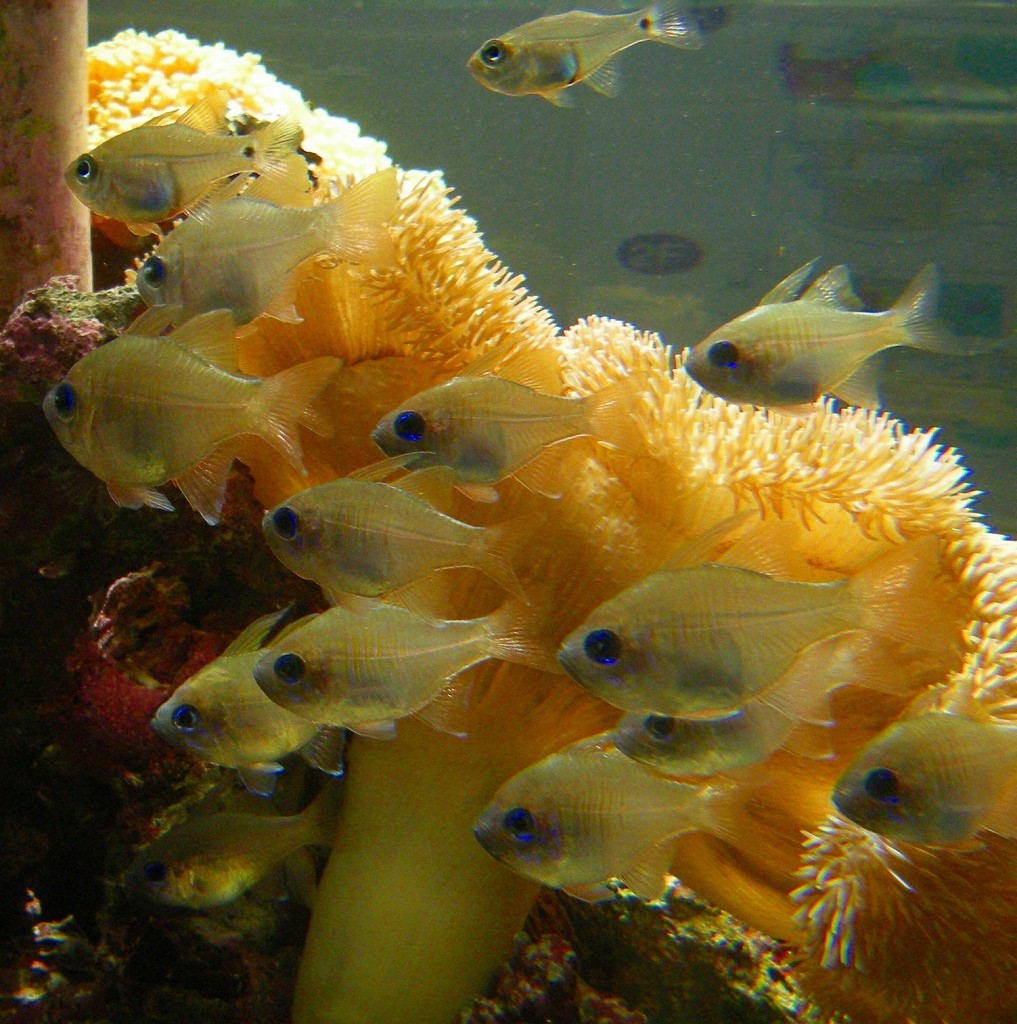 10226538106100042500_ua5qejpsla