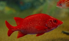 10228352722400042500_oc6xkl0gla