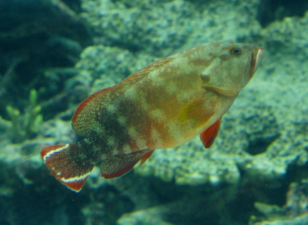 10325819261000042500_8s3leisela