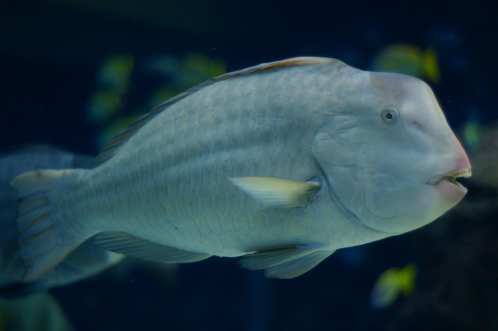 10233174289000042500_2qsk2scsla