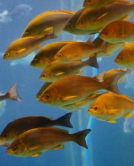 10427946430100042500_tllozoilla