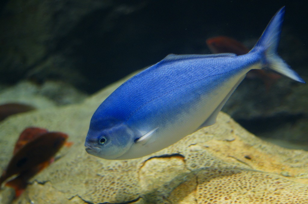 10333025230500042500_qw4yml8wla