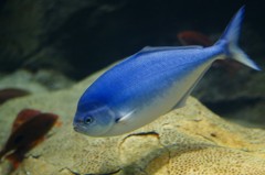 10333025230500042500_qw4yml8wla