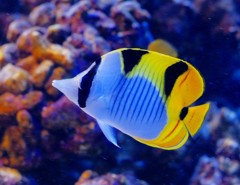 10228879844000042500_ymqkww65la