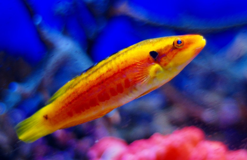 10227540721400042500_4vjin93ola