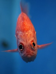 10334646647700042500_zgo52ngjla