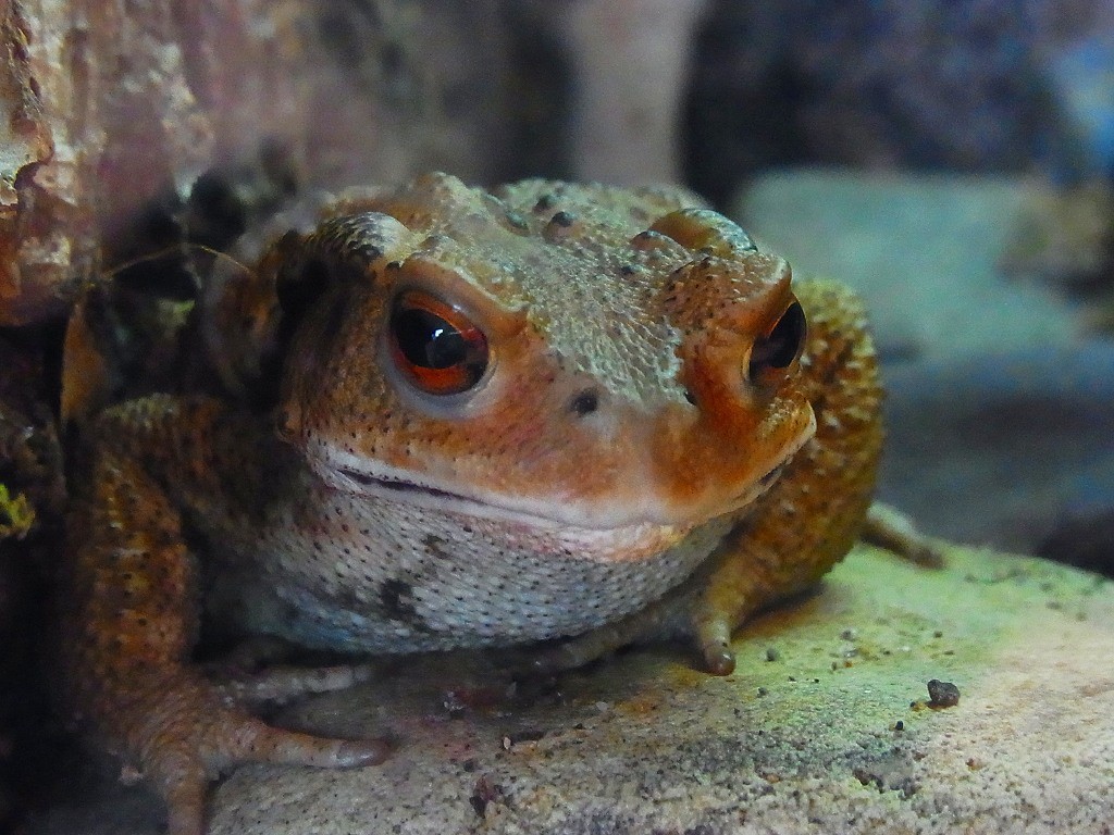 10234236140300042500_ce9asxaela