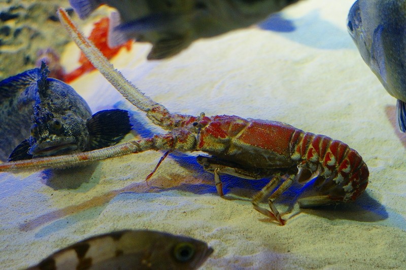 10328841917200042500_3h80j3k8la