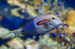 10334302526600042500_tepk6k8fla