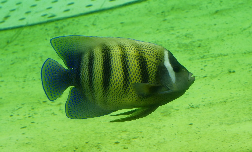 10328698330400042500_uqggjqx2la