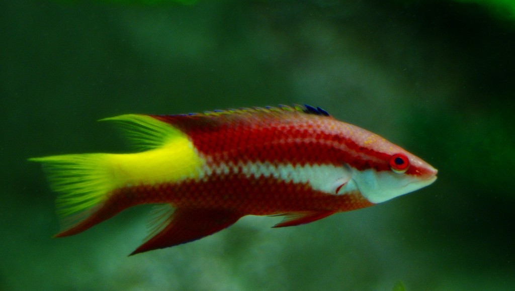 10130330606900042500_ifj2qzufla