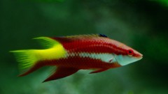 10130330606900042500_ifj2qzufla