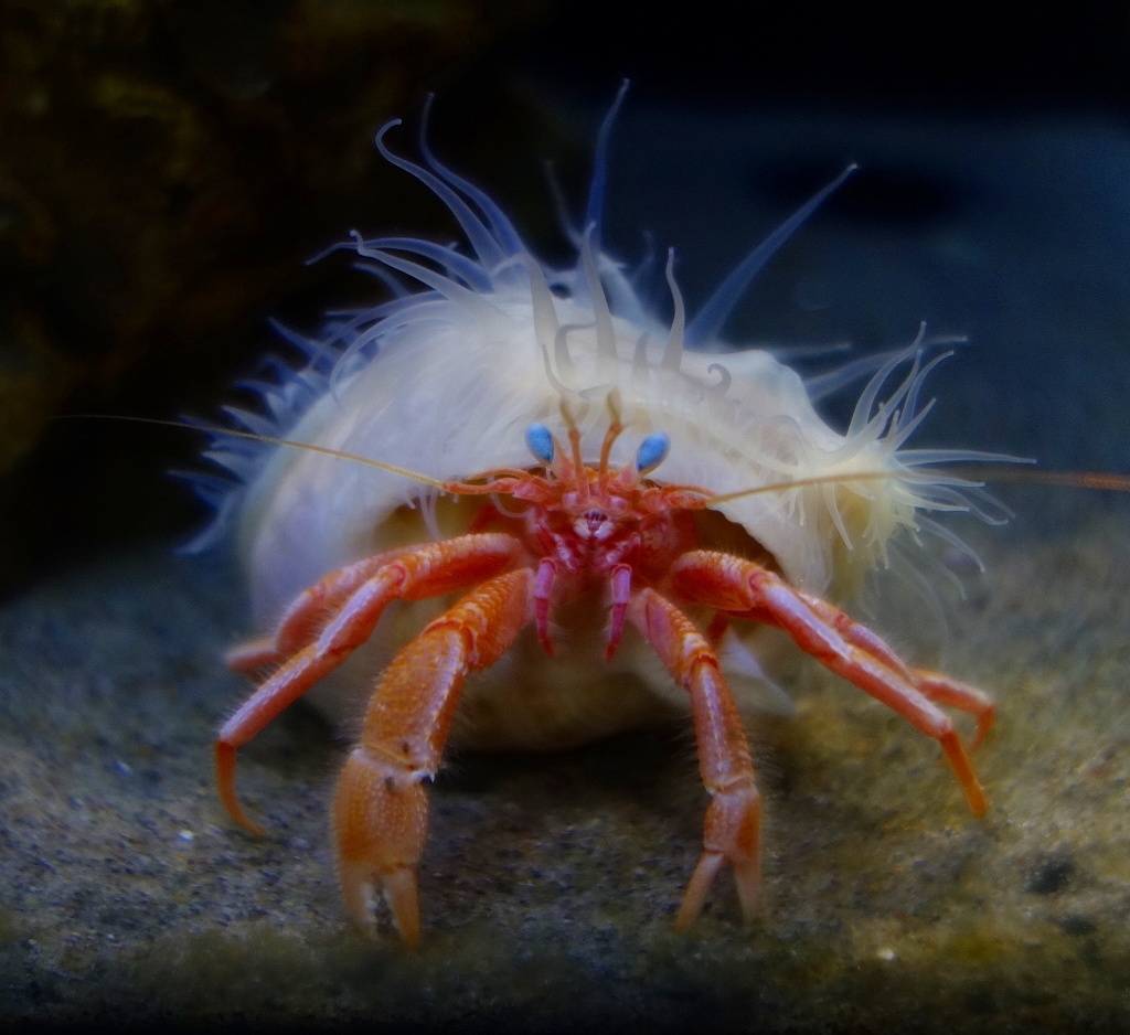 かかってこんかい　その３