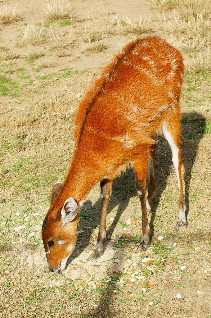 10234478080100042500_l6q6kk6cla