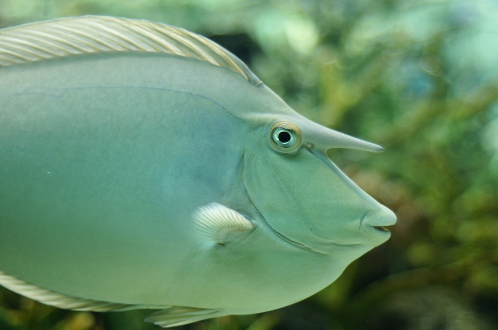 10138240903600042500_khh91fbzla