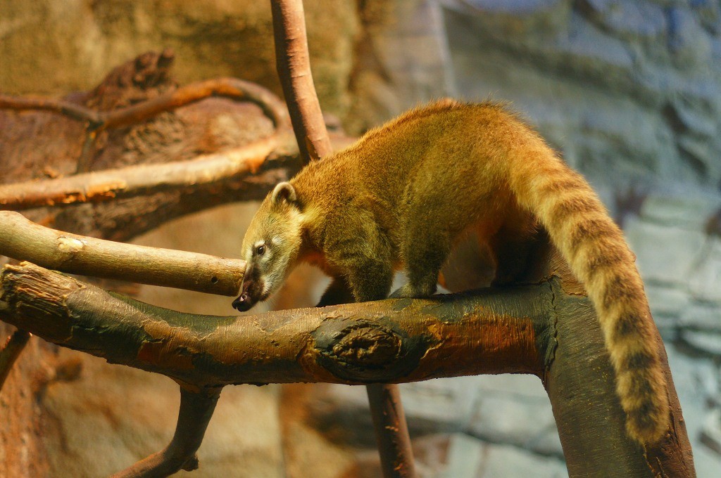 10133095744500042500_bg3z5utela