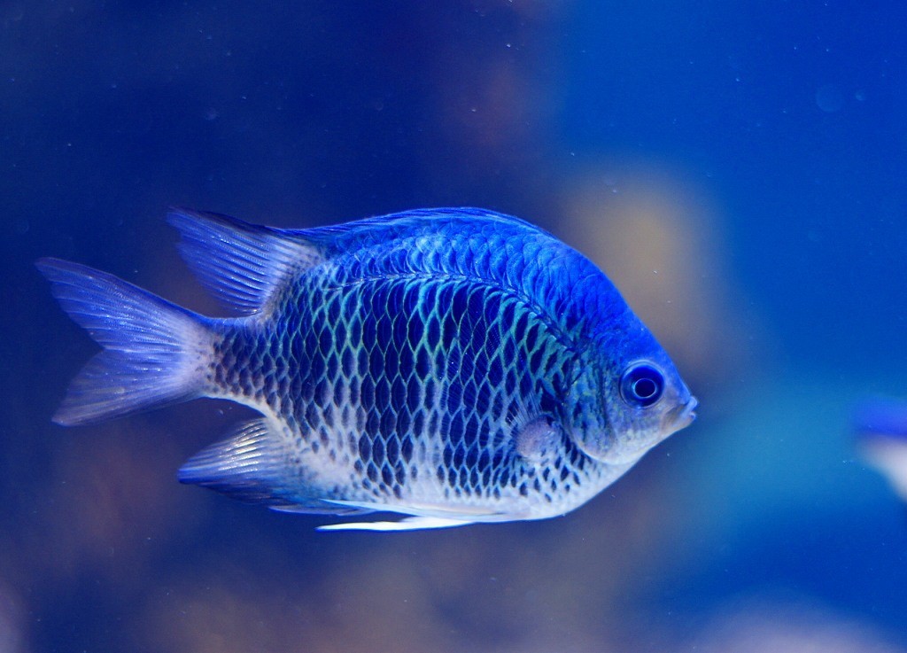 10234321762600042500_isbawtq0la