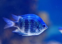 10234321762600042500_isbawtq0la