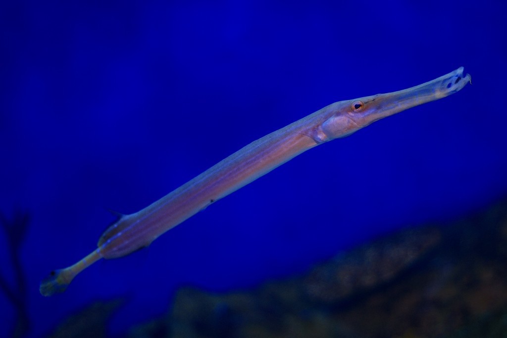 10330467699400042500_hy9e3aj6la