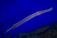 10330467699400042500_hy9e3aj6la