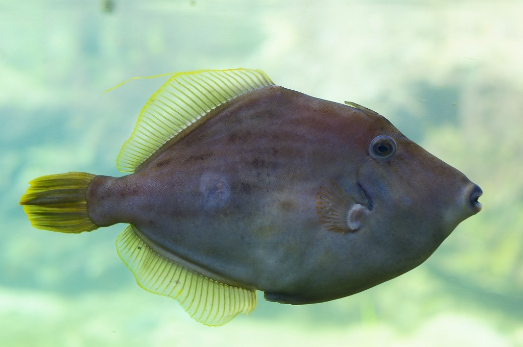 10230719014400042500_fq585oksla