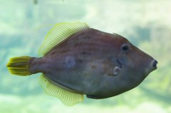 10230719014400042500_fq585oksla