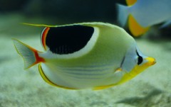 10226693434600042500_ki2m81f0la