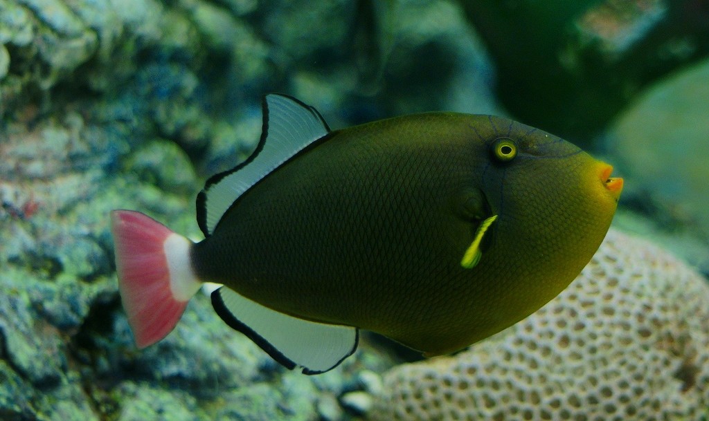 10127151777500042500_t3p3tj77la