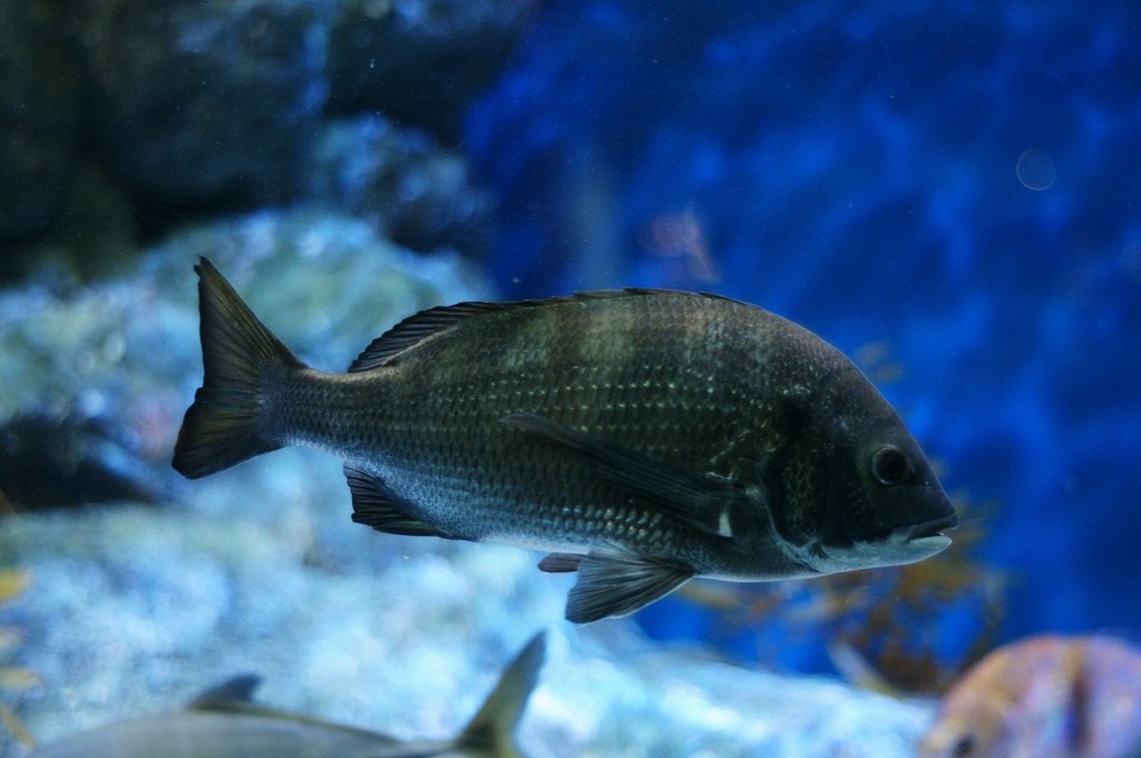 10238380070300042500_ryg7qgqnla