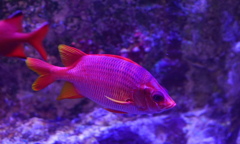 君は燃えているか　その164