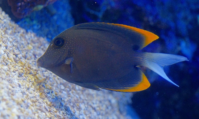 10128879843900042500_tmeup9cfla