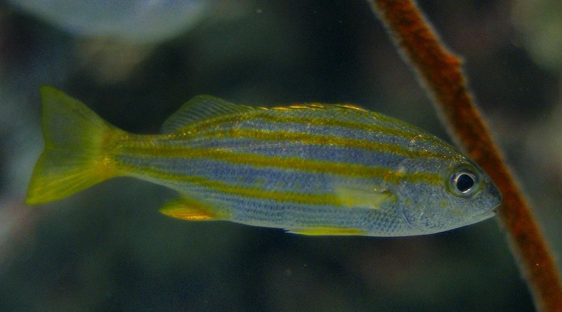 10228551331100042500_nu9uigkila