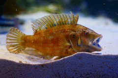 10330097876800042500_jf4e4qv2la