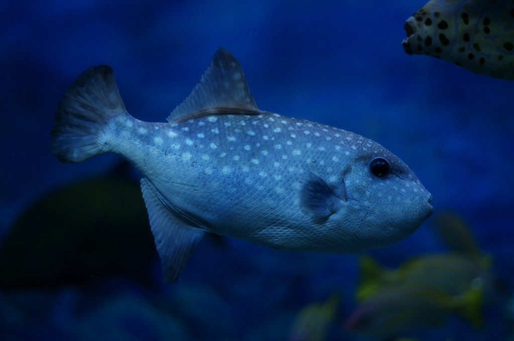 10234897172200042500_ky9qs4y8la