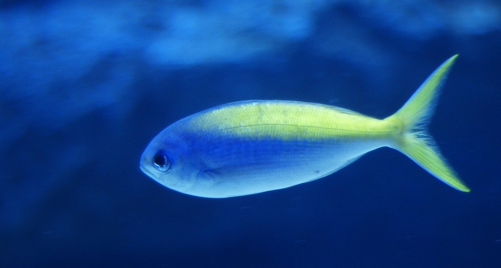 10335277359800042500_v7tabq25la