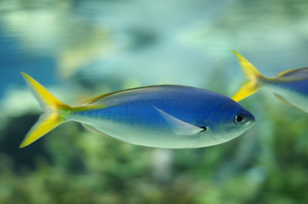 10138284203600042500_s1k02xzdla