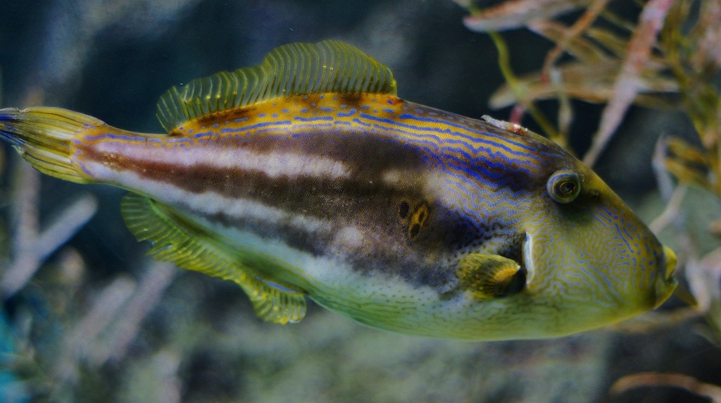 10327044430900042500_76j6318qla