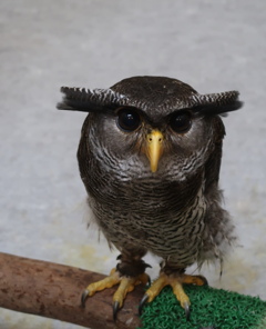 誰やった⁈ その5 誰やった⁈ その5