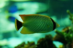 10126431766000042500_a6hnjgcvla